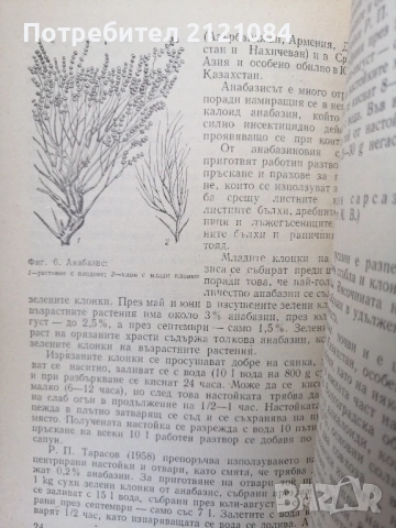 Растения защитават растения / А. Н. Васина , снимка 6 - Специализирана литература - 53061532