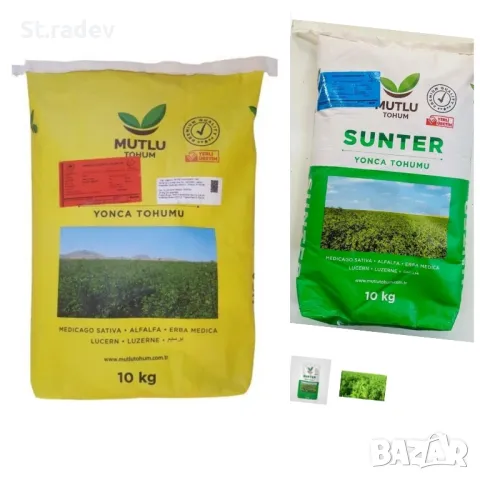 Люцерна семе. семе люцерна , снимка 5 - За селскостопански - 47162365