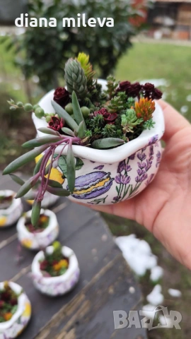 Гърнета аранжирани със сукуленти!, снимка 14 - Декорация за дома - 53206137