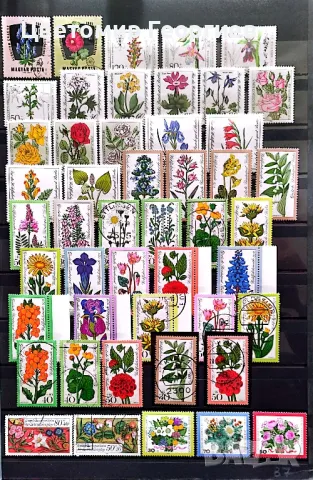 Пощенски марки цветя 260 бр.  К.1, снимка 5 - Филателия - 48877268