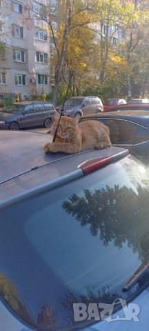 Работник Товаро-Разтоварна Дейност Търси Работа 