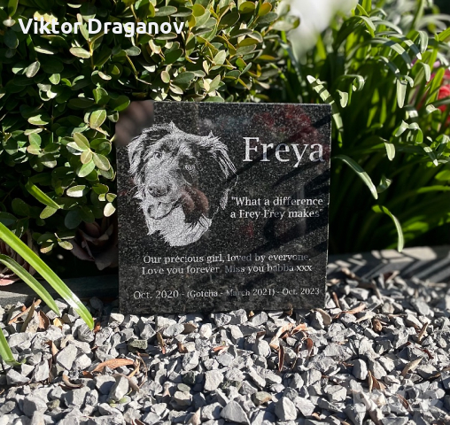 Персонализирана надгробна плоча за домашни любимци със снимка, снимка 5 - За кучета - 44884125