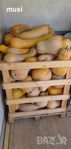 Тикви за животни 