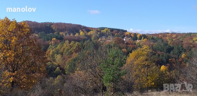 Продавам Спешно Дворно място., снимка 8 - Парцели - 36915572