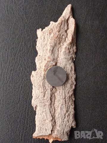 Луксозен НОВ голям морски магнит за хладилник Дуранкулак , снимка 3 - Колекции - 43122389