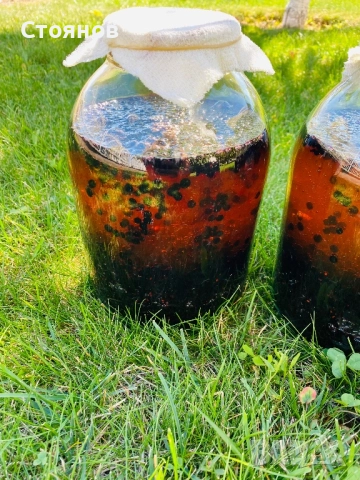 Сироп черен бъз с мед, бъзак с мед, снимка 4 - Други - 51738820