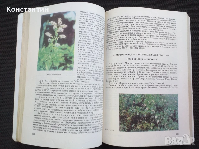 Природна аптека, снимка 4 - Специализирана литература - 50879026