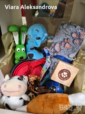 Подаръчни кутии за домашните ни любимци, снимка 4 - За кучета - 52578675