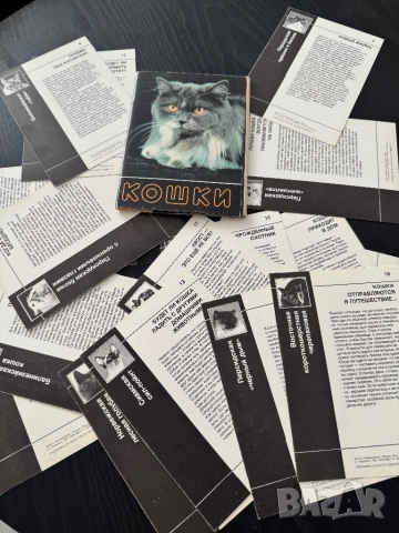 Кинология - книги и списания за кучето и котката, снимка 8 - Специализирана литература - 51950834