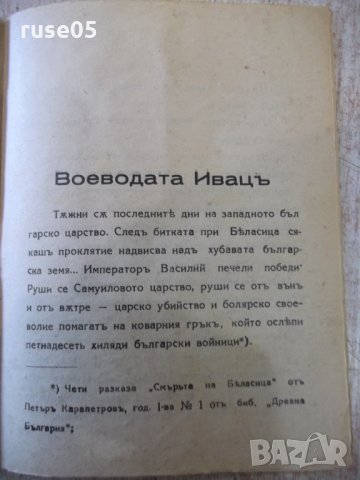 Книга "Пирътъ на Василия Българоубиеца-Т.Павловъ" - 32 стр., снимка 7 - Художествена литература - 34638174
