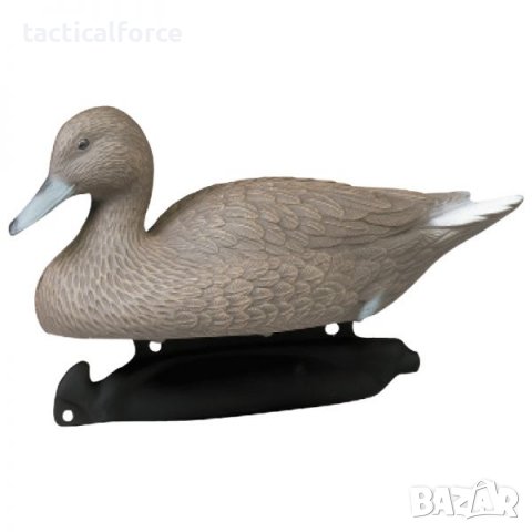 мюре мъжка шилоопашата патица, снимка 2 - Стръв и захранки - 38756195