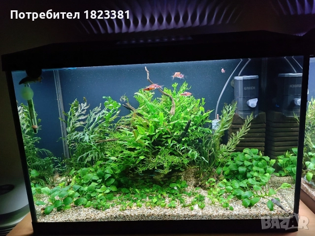 Напълно оборудван и работещ аквариум , снимка 16 - Аквариуми - 49185034