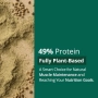 Нов Конопен протеин на прах 500g – веган, без глутен, високо съдържание протеин, снимка 3