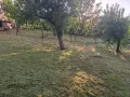 Косене на трева и рязане на дърва за Кюстендил и близките села, снимка 4