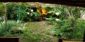 Стаи под наем - вила градина "Рина" - Варна - Златни пясъци, снимка 14