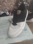 Nike AIR Jordan размер 44,5, снимка 2