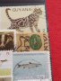 Лот Пощенски марки смесени серий ЖИВОТНИ от цял свят за КОЛЕКЦИЯ 22629, снимка 5