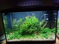 Напълно оборудван и работещ аквариум , снимка 16