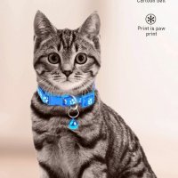 🐈😻🐈‍⬛🐕 Каишка за Домашен любимец със звънче и лапички - за котка или малко куче 🐶, снимка 10 - Други стоки за животни - 43900381