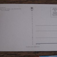 Пощенски картички от Полша от 1969 до 1979 години, снимка 11 - Колекции - 28617392