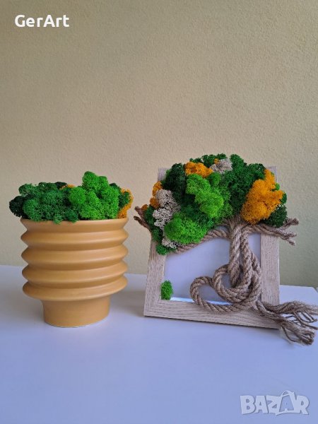 Кашпа със скандинавски мъх, снимка 1