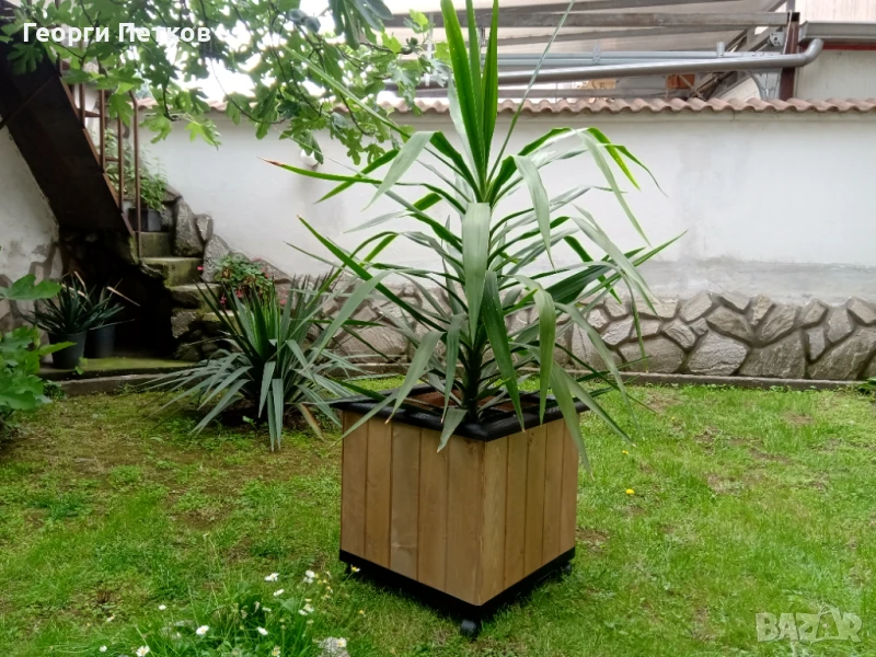 Дървени Кашпи от естествен материал - 49х49х47см., снимка 1