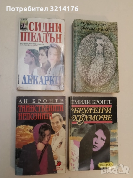 Тайнствената непозната - Ан Бронте, снимка 1