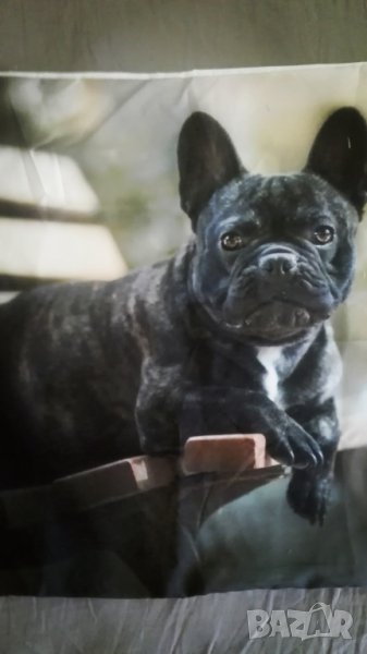 Декоративни калъфки, снимка 1