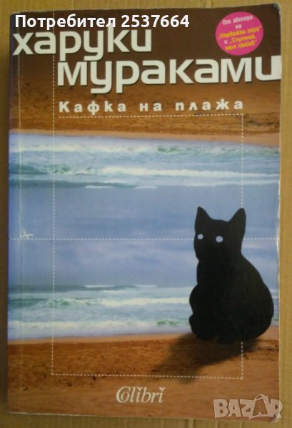 Кафка на плажа  Харуки Мураками, снимка 1