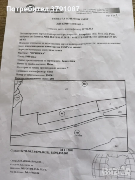 нива, снимка 1