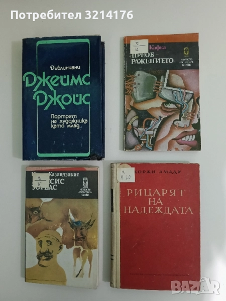 Рицарят на надеждата. Животът на Луис Карлос Престес - Жоржи Амаду, снимка 1