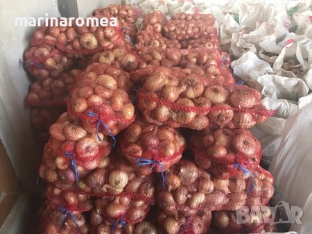 Гаци за лук (чували за лук), снимка 3 - Селскостопанска техника - 50633076