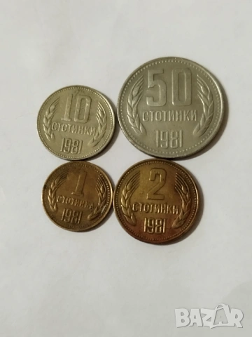 Лот 1981г.