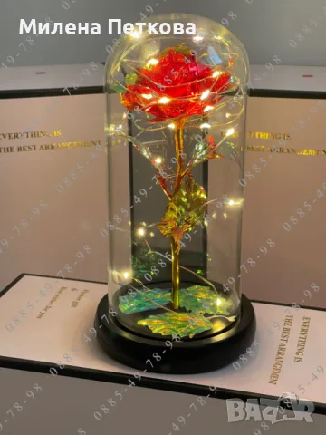 Вечна роза в стъкленица от СТЪКЛО + КАРТИЧКА + осветление! Подарък, снимка 5 - Подаръци за жени - 49113281