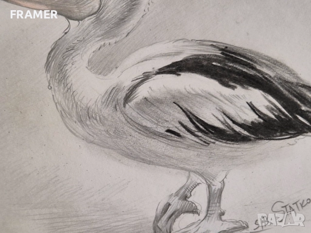 Румен Статков Уникален етюд на Пеликан 1999 година, снимка 5 - Картини - 52637691