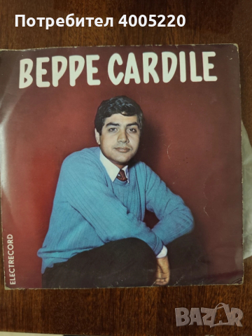 Грамофонни плочи - големи, снимка 6 - Грамофонни плочи - 52579014