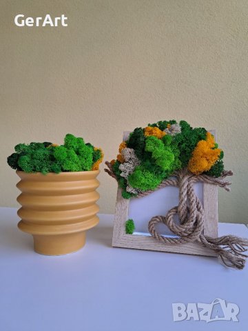 Кашпа със скандинавски мъх