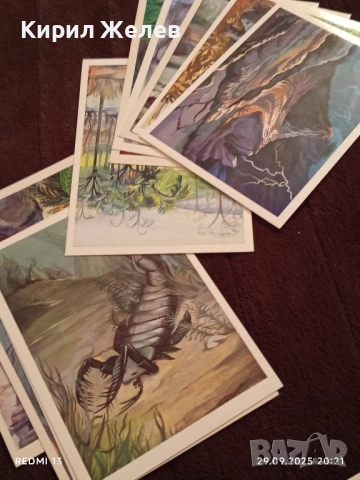 От ДЪЛБИНИТЕ на ВЕКОВЕТЕ фотографии редки за КОЛЕКЦИЯ ДЕКОРАЦИЯ 7416, снимка 7 - Колекции - 51882722