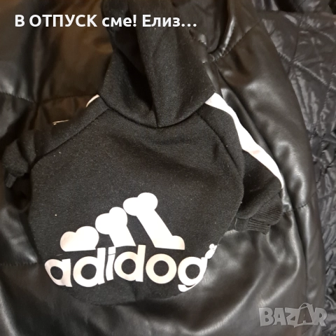 Adidog adidas дрешки за кученце пинчер.мини, снимка 2 - Суичъри - 52913552