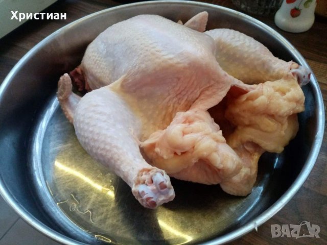 Домашни кокошки и петли бройлери, снимка 3 - Кокошки и пуйки - 38893217