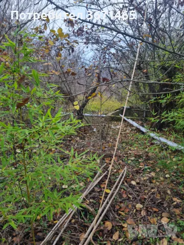 Парцел с. Кичево, снимка 7 - Парцели - 47050473