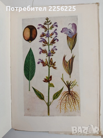 Лекарствени култури, снимка 5 - Специализирана литература - 52279282