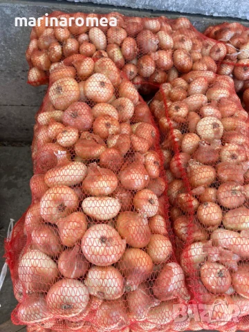 Мрежести чувалчета(гаци)за пакетиране на плодове и зеленчуци, снимка 3 - Други - 2789135