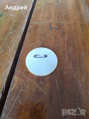 Значка На класата достойни синове, снимка 2 - Колекции - 33124542