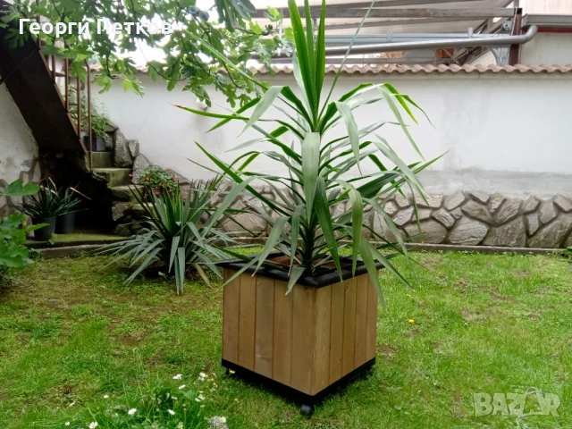 Дървени Кашпи от естествен материал - 49х49х47см.