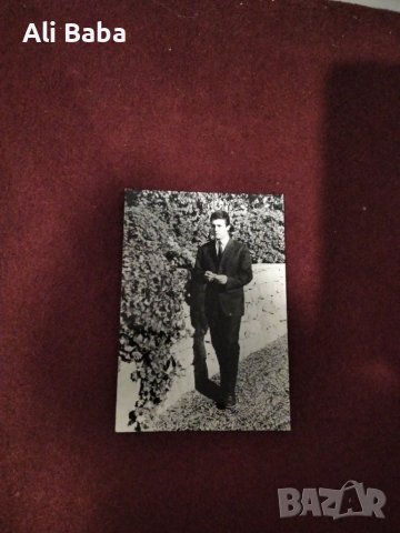 Картичка/снимка Робертино Лорети