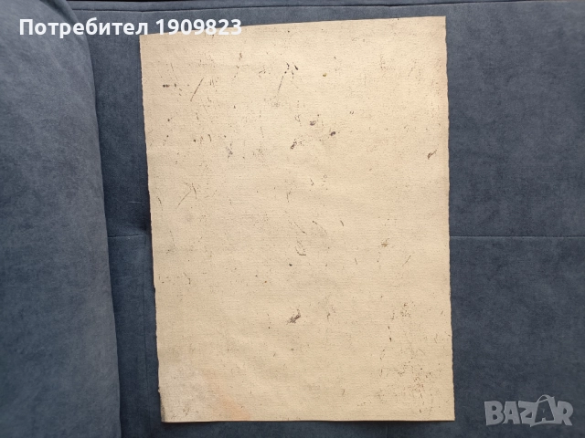 Картина П. Ненов, снимка 4 - Картини - 51847966