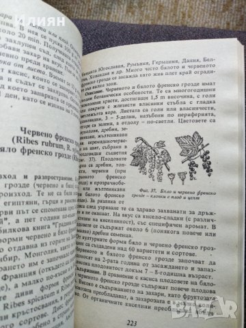 Домашна енциклопедия плодолечение и козметика, снимка 6 - Енциклопедии, справочници - 37758397