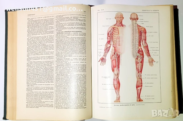 LAROUSSE MEDICAL ILLUSTRE, снимка 8 - Специализирана литература - 51321477