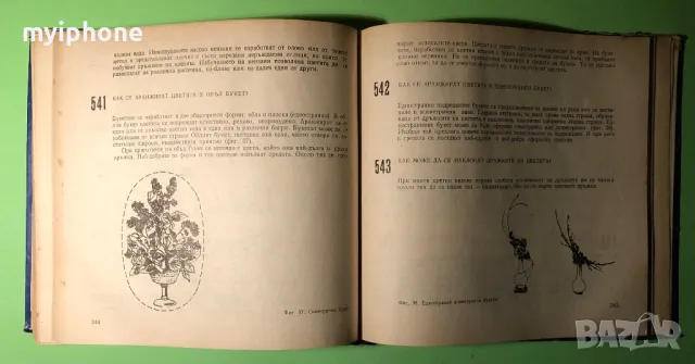 Стара Книга 599 Съвета за Любителя Цветар, снимка 11 - Специализирана литература - 49203115